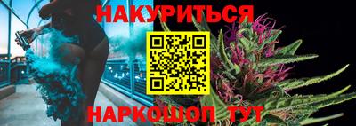 jwh Майкоп