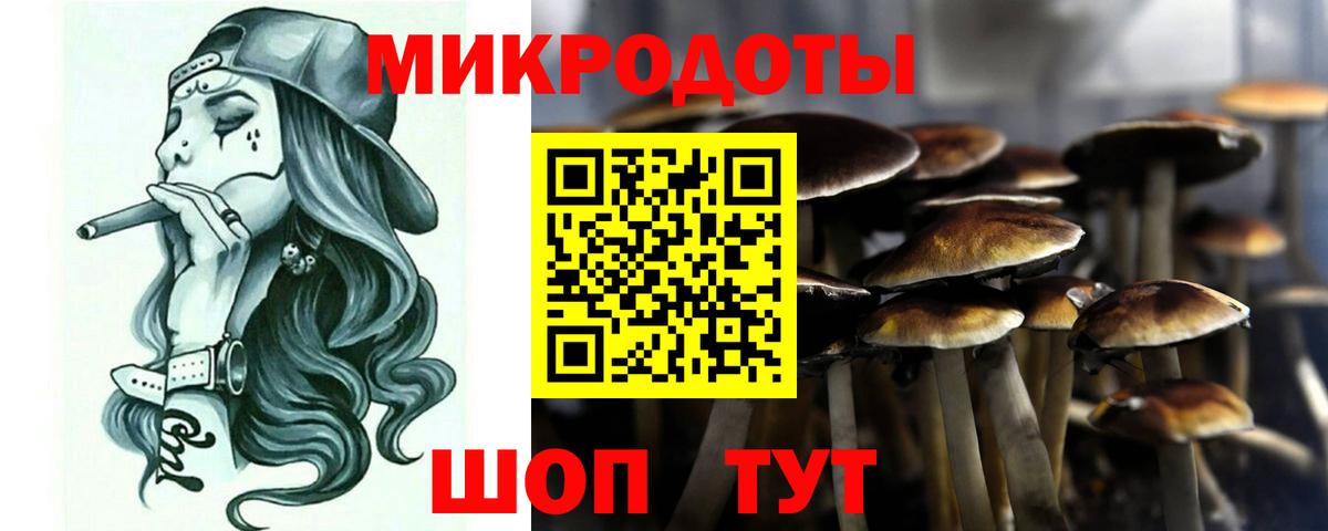 Галлюциногенные грибы мухоморы  купить наркотик  Архангельск  Вход с VPN 
